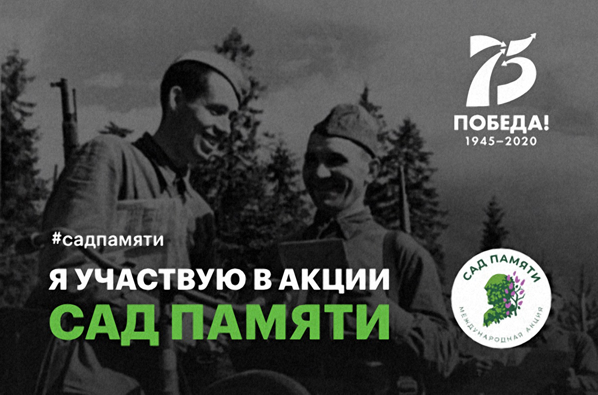 Акция сад победы картинки